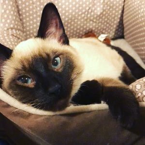 Meet your Posher, Christina